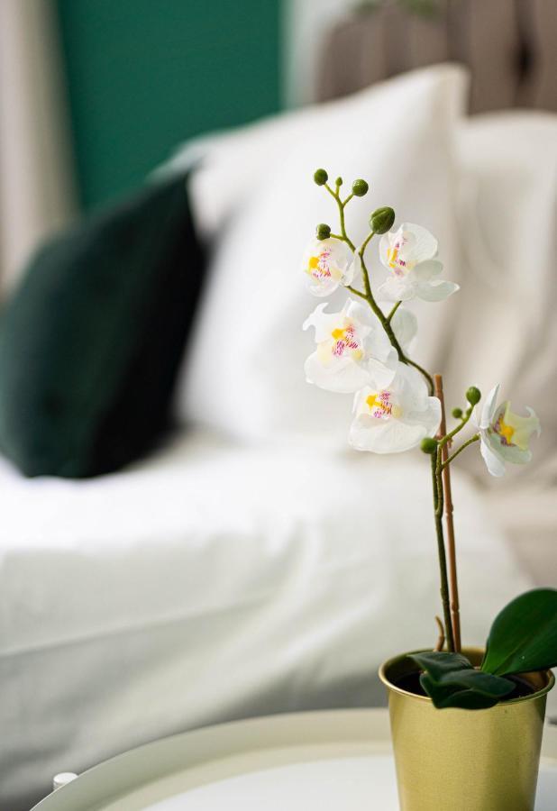 Comfortable House In Nuneaton Sleeps5 Free Parking Good Amenites Bagian luar foto
